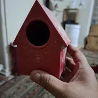 لانه فنچ سانان