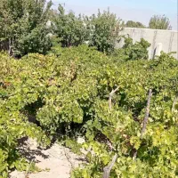 اب-چاه-عمیق-روستای-جیلو