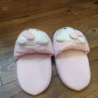 دمپایی حمام و انگشتی|کیف، کفش، کمربند|کرج, فاز ۴ مهرشهر|دیوار