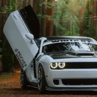 مکانیک مکانیکی و ترمزی جلو بندی