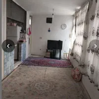 اجاره آپارتمان فقط خانم