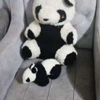 عروسک خرسی بزرگ وزیبا