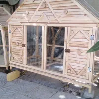 ساخت قفس چوبی|لوازم جانبی حیوانات|کرمانشاه, |دیوار