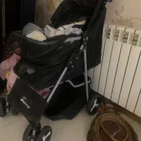 کالسکه سگ پامرانین و نژاد کوچک