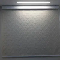 زبرا ساده فروش8 ماهه