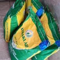 بذر افتابگردان ایباکلار