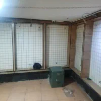 دکور|فروشگاه و مغازه|داراب, |دیوار