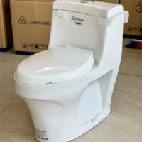 توالت فرنگی(چینی کُرد)نمایندگی|لوازم سرویس بهداشتی|بانه, |دیوار