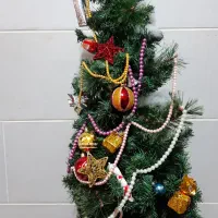 درخت کریسمس خارجی