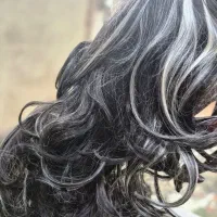 فروش مو|آرایشی، بهداشتی، درمانی|گنبد کاووس, |دیوار