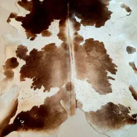 ۴ متری  چرم طبیعی