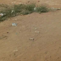 زمین فروشی در محمدان
