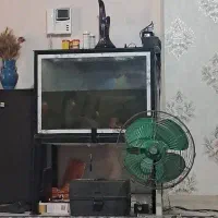 آکواریوم شیشه ۱۰میل