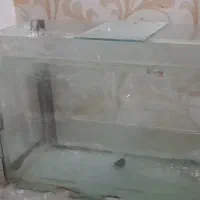 آکواریوم ماهی شیشه اکواریوم طول ۸۰