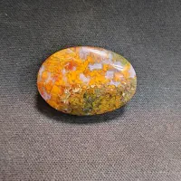 شجر بهاره|بدلیجات|بوشهر, |دیوار