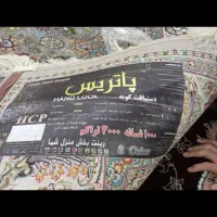 فرش|فرش|سردشت, |دیوار