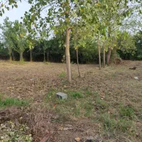دوقطعه-زمین-340-متری-در-ویشکا-ماتر