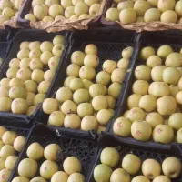 چند عدد طبق میوه فروشی وآیینه|فروشگاه و مغازه|بروجرد, |دیوار