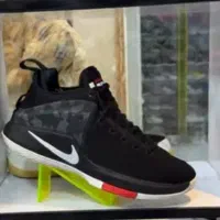 nike lebron zoom witness