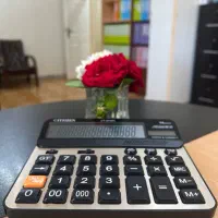 حسابدار خانم