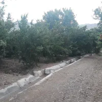 معاوضه باغ انار با پیش خرید خانه در منطقه ۱۴|پیشفروش املاک|قاهان, |دیوار