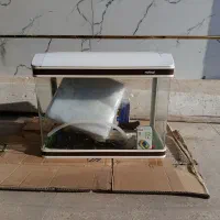 آکواریم ماهیران