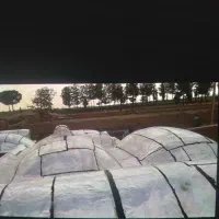 ایزوگام وقیرگونی حتی یک متر در سراسر استان|خدمات پیشه و مهارت|بیرجند, |دیوار