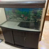 آکواریوم ماهیران