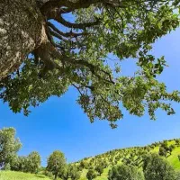 راهنمایی برای گردش