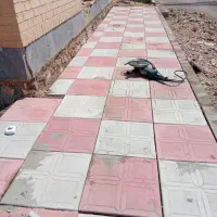 بنا با نازلترین قیمت و با بهترین کیفیت دراسرع وقت