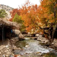 تور یک روزه مال آقا