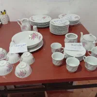 سرویس استیل و  چینی|ظروف سرو و پذیرایی|شیراز, گل سرخ|دیوار