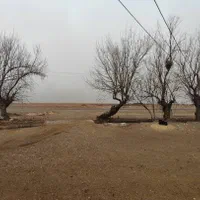 گاوداری دامداری|فروش دفتر صنعتی، کشاورزی، تجاری|شهرضا, |دیوار