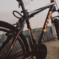 دوچرخه ویوا تایوانی