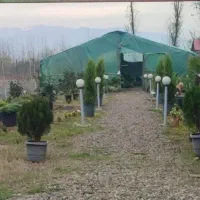 زمین اجاره ای