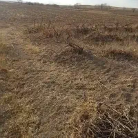 فروش باغ|فروش زمین و ملک کلنگی|صالح آباد, |دیوار