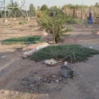 زمین سندتک برگ روبروی شهرک خانه|فروش زمین و ملک کلنگی|رباطکریم, الارد|دیوار