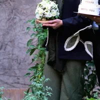 کت شلوار برگ رنگ سبز ماچا مناسب سایز ۴۴|لباس|مشهد, سمزقند|دیوار