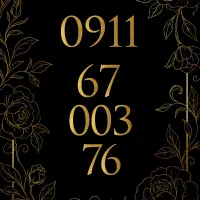 خط بیلبوردی رند خاص|سیمکارت|تهران, شادمان|دیوار