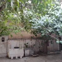 اجاره خانه ویلایی ۱۸۰ متری ۲ خوابه مستقل|اجارهٔ خانه و ویلا|شیراز, دشت چنار|دیوار