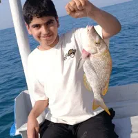 تور تفریحی ماهیگیری|تور و چارتر|قشم, |دیوار