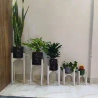 پایه گل|گل و گیاه طبیعی|تهران, خاک سفید|دیوار