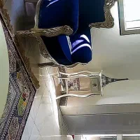 مبل سلطنتی  به همراه ناهارخوری 10 نفره|مبلمان خانگی و میز عسلی|پردیس, فاز ۳|دیوار