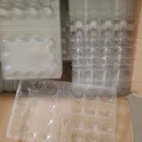 یک کارتن شانه تخم بلدرچین 12تایی