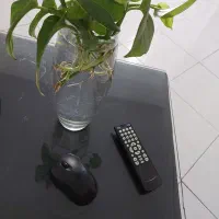 موس بی سیم بدون دانگل Genius و کنترل دستگاه dvr