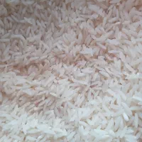 برنج طارم هاشمی درجه یک در حد بوجار|خوردنی و آشامیدنی|فریدون‌کنار, |دیوار