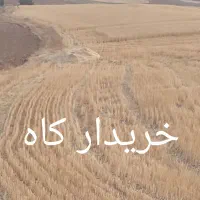 کاه گندم اسینم باخاور|لوازم جانبی حیوانات|دهگلان, |دیوار