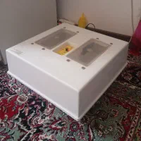 دستگاه جوجه کشی