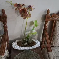 گل مصنوعی|گل مصنوعی|تربت‌حیدریه, حسنی بالا|دیوار