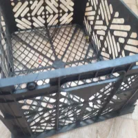 سبد میوه